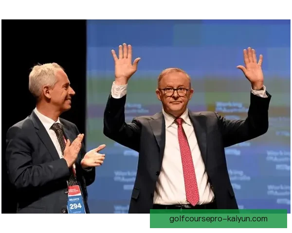 阿尔巴最新采访