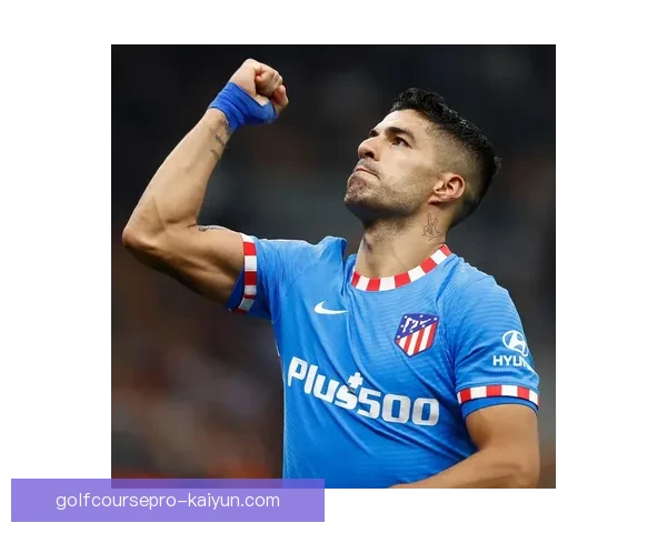 苏亚雷斯前锋价值持续回暖，市场关注度逐渐提升。